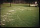 Thumbnail: Snowmold on untreated apron only